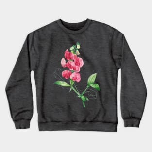 Everlasting Pea - Botanical Illustration Crewneck Sweatshirt